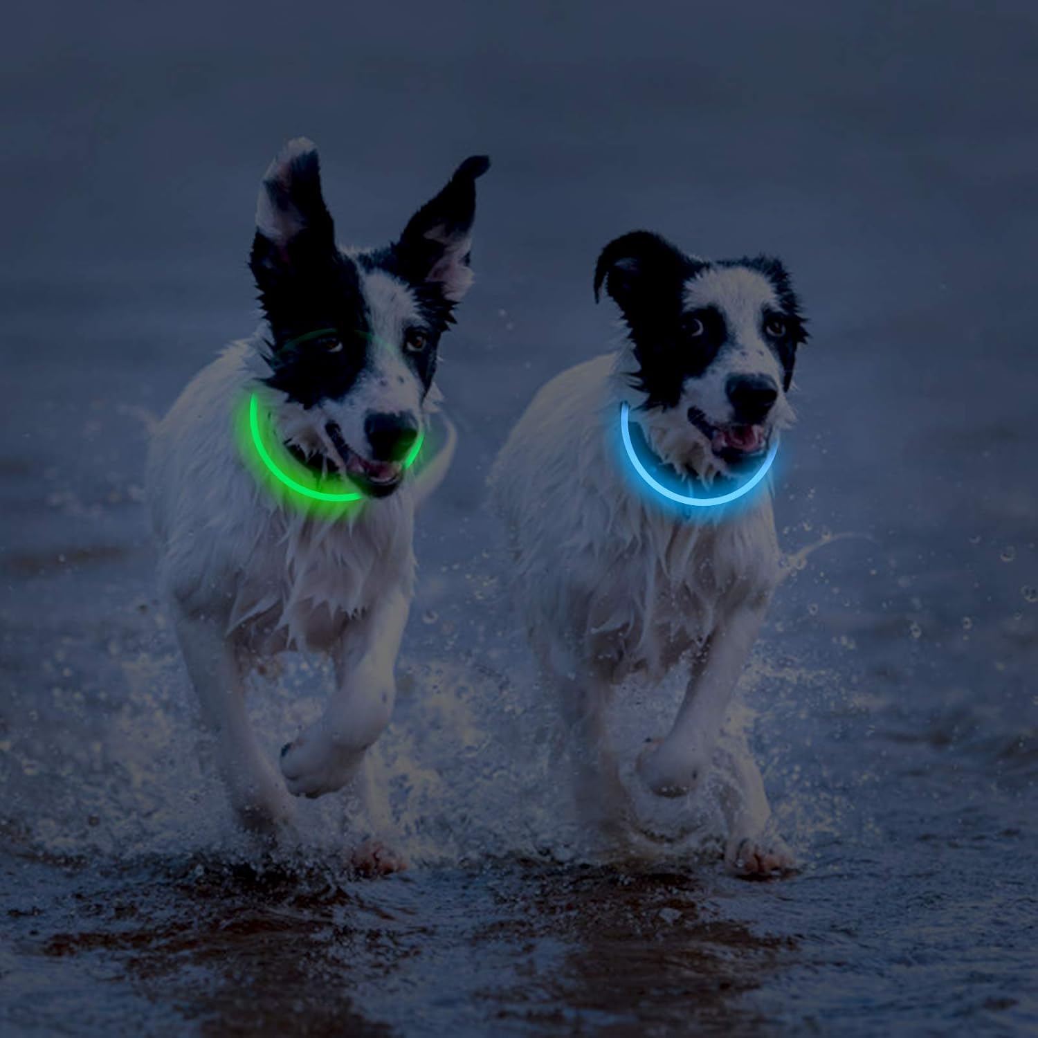 Novkin 2-Pack LED Dog Collar, Light Up Dog Collars,Rechargeable Dog Lights for Night Walking,Universal, Reusable Safety Necklace for Small Medium Large Dogs Green&Blue - Image 6