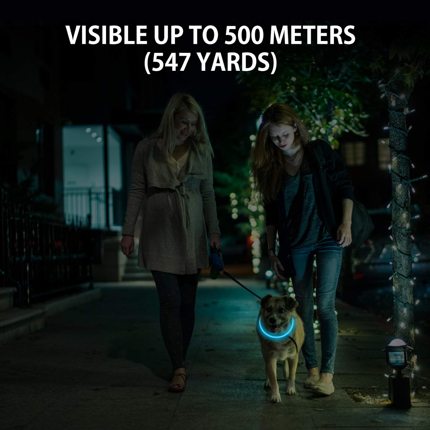Novkin 2-Pack LED Dog Collar, Light Up Dog Collars,Rechargeable Dog Lights for Night Walking,Universal, Reusable Safety Necklace for Small Medium Large Dogs Green&Blue - Image 3