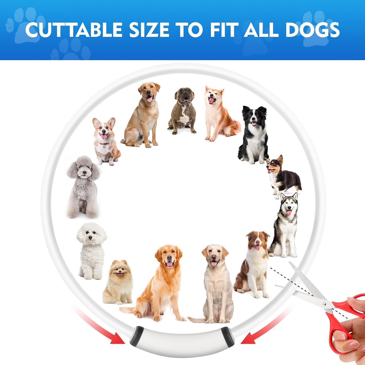 NOVKIN Lighted Dog Collar, Rechargeable 7 Colors Changing Light Up Dog Collar, IP67 Waterproof LED Collar Glow in the Dark, Make Pet Visible and Safety for Night Walking,Outdoor, for All Dogs - Image 7