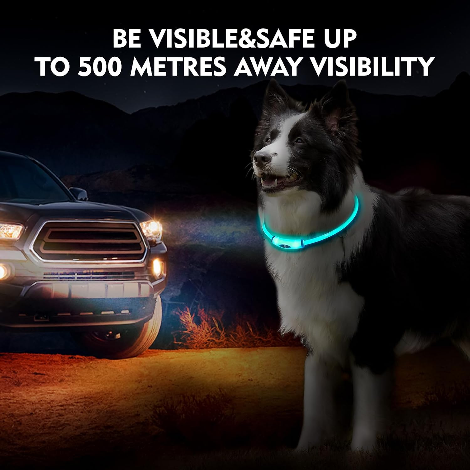 NOVKIN Lighted Dog Collar, Rechargeable 7 Colors Changing Light Up Dog Collar, IP67 Waterproof LED Collar Glow in the Dark, Make Pet Visible and Safety for Night Walking,Outdoor, for All Dogs - Image 6