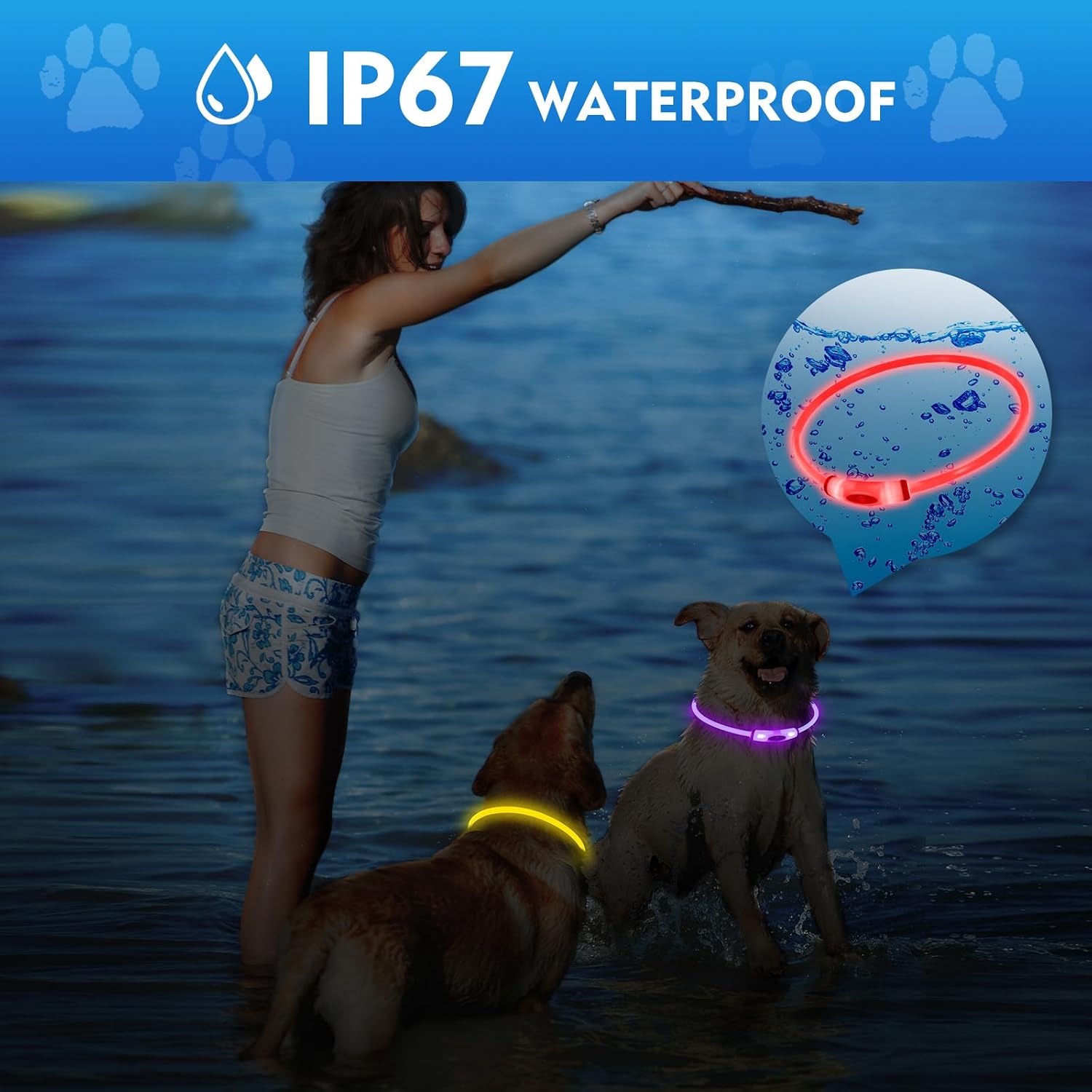 NOVKIN Lighted Dog Collar, Rechargeable 7 Colors Changing Light Up Dog Collar, IP67 Waterproof LED Collar Glow in the Dark, Make Pet Visible and Safety for Night Walking,Outdoor, for All Dogs - Image 3
