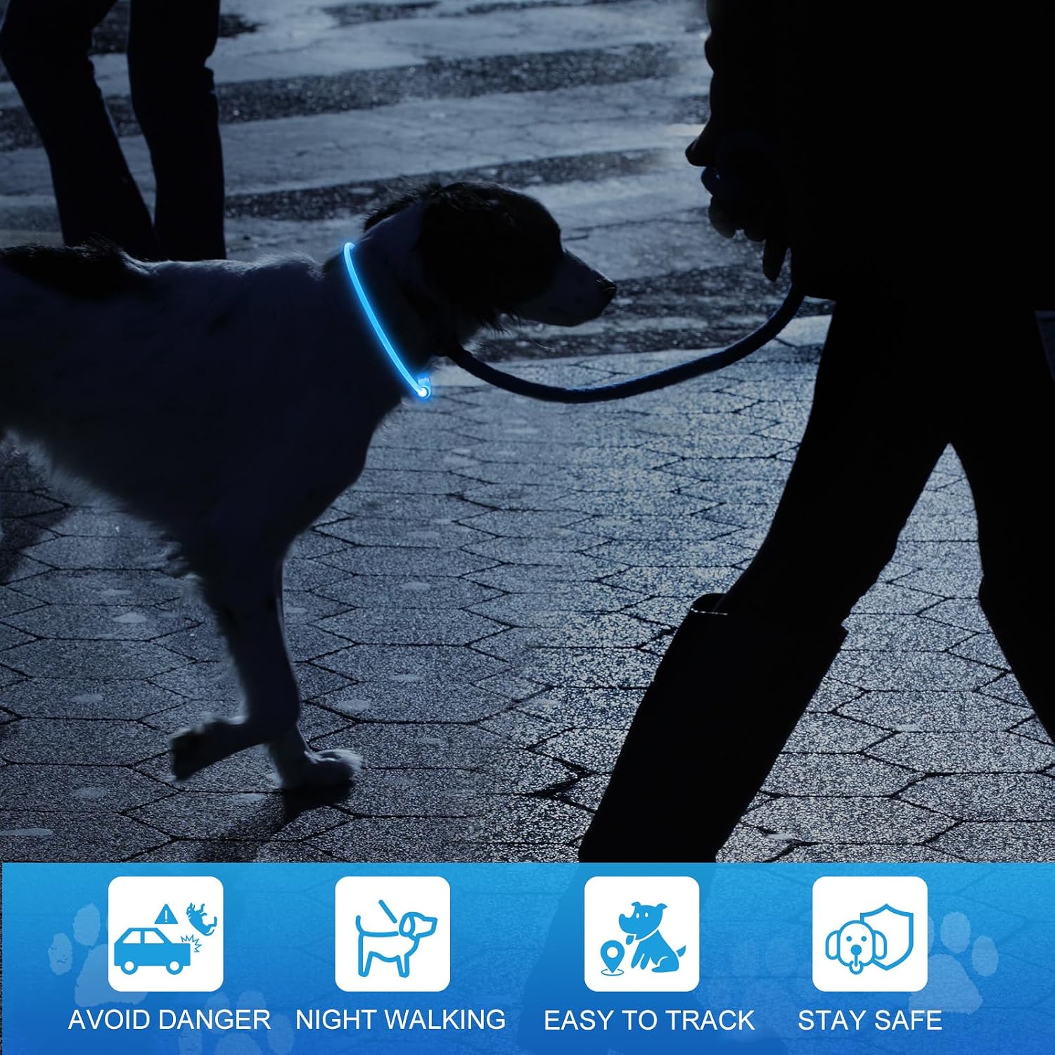 NOVKIN Lighted Dog Collar, Rechargeable 7 Colors Changing Light Up Dog Collar, IP67 Waterproof LED Collar Glow in the Dark, Make Pet Visible and Safety for Night Walking,Outdoor, for All Dogs - Image 4