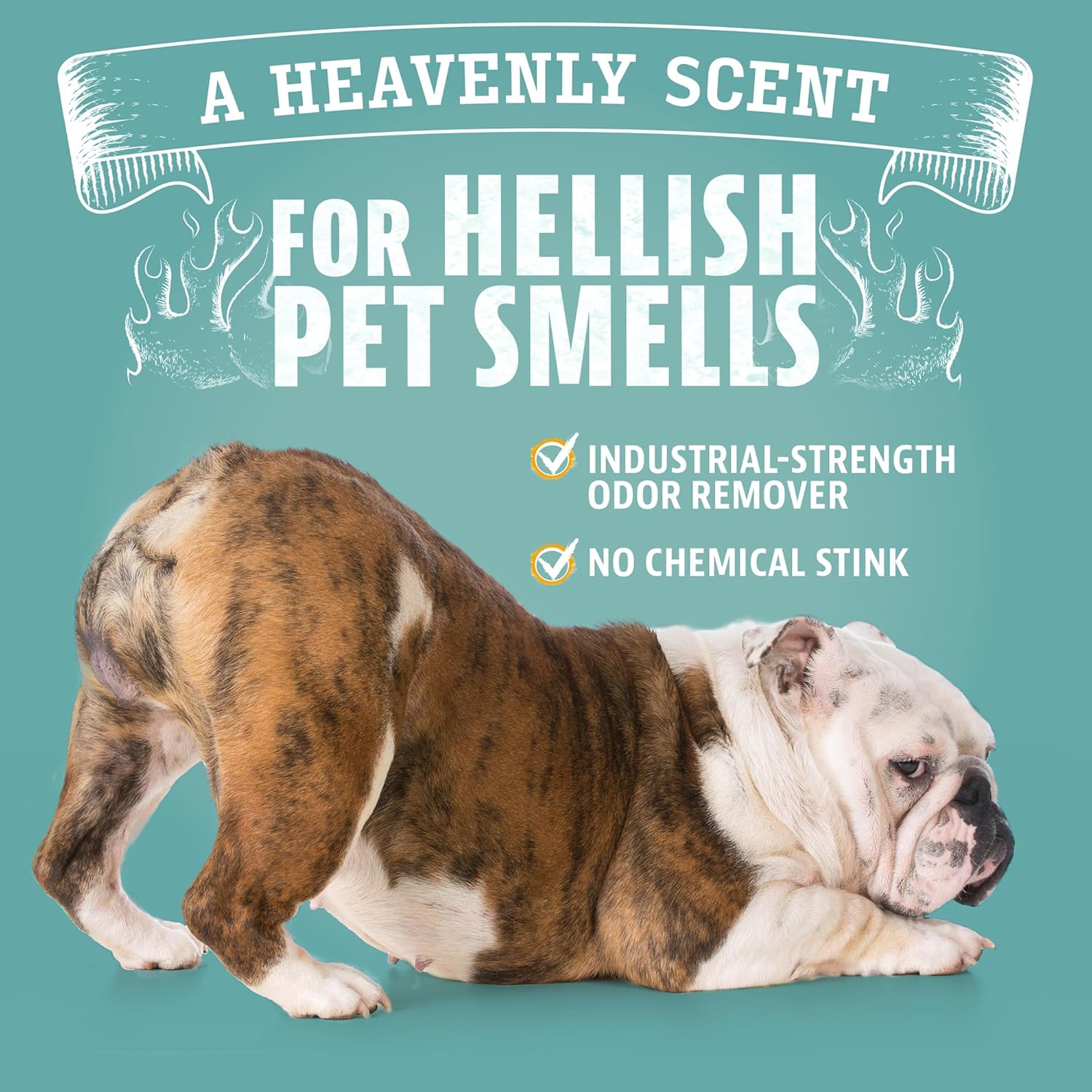 ANGRY ORANGE Pet Odor Eliminator for Dog and Cat Urine, Carpet Stains, and Strong Smells – NEW Orange Rush Scent – Citrus Cleaner with Natural Orange Oil – 24 oz - Image 3