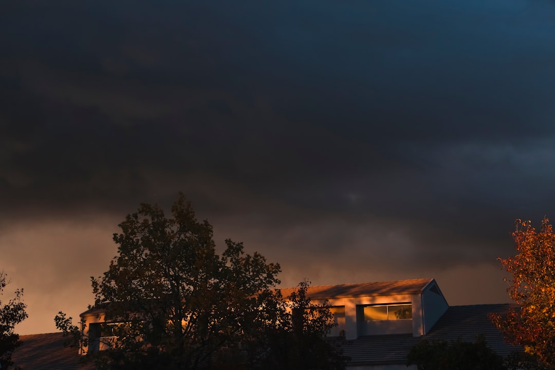 A cozy home with secure windows and doors, surrounded by trees and a cloudy sky, illustrating safety measures during bad weather.