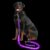 PetIsay Light up Dog Leash for Night Walking – USB C Rechargeable – Waterproof – Dog Leashes with Flashlight – LED Leash for Dogs – 6Ft, Purple