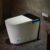 Casta Diva Smart Toilet with Bidet Built in, Auto Open Close, Foot Sensor, 1000 MaP Auto Flushing, ADA Comfort Height, Artistic Lighting, Smart Heated Seat, Foam Dispenser, Tank Built in (CD-U010Max)
